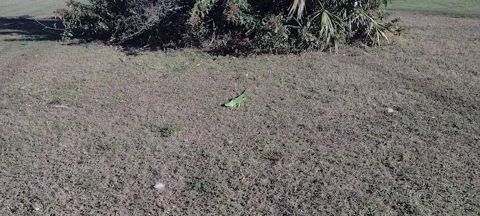 Swan Lake Village & RV Resort Picture 5