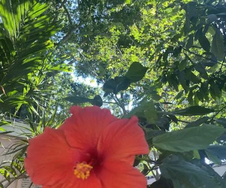 Melaleuca Trailer Park