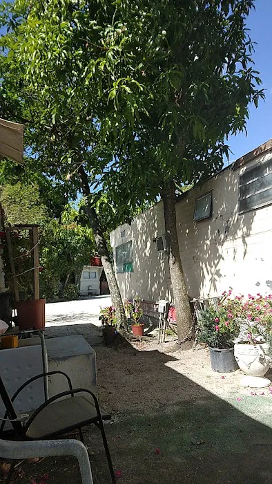 Melaleuca Trailer Park Picture 3