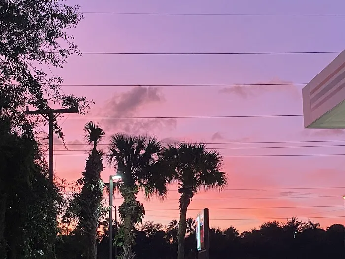 Melaleuca Trailer Park Picture 4