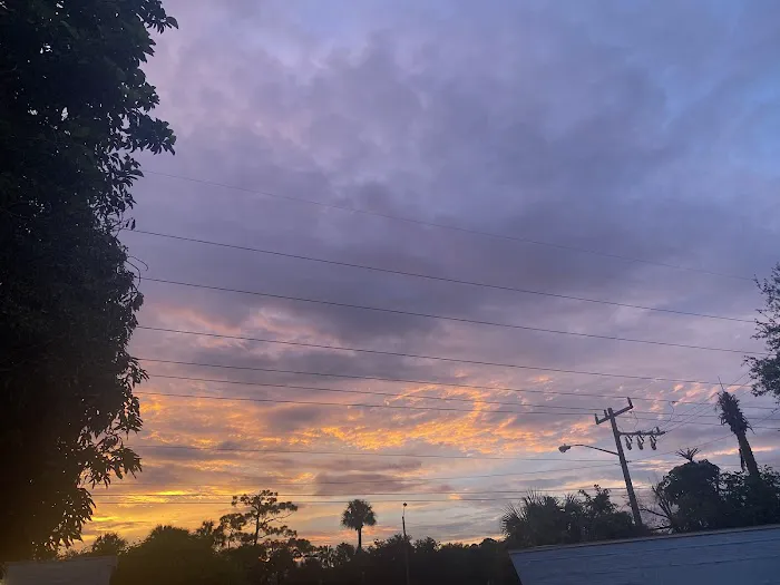 Melaleuca Trailer Park Picture 5