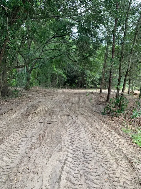 Dreamland RV Park Picture 5