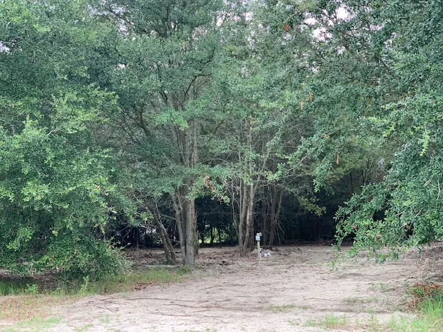 Dreamland RV Park Picture 4