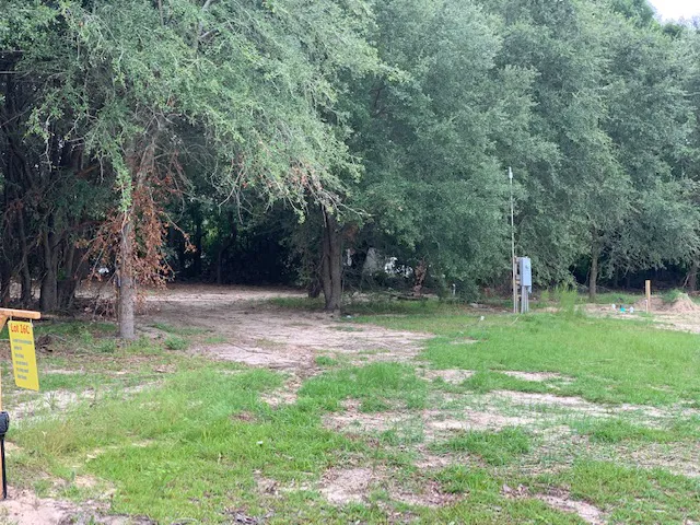 Dreamland RV Park Picture 7