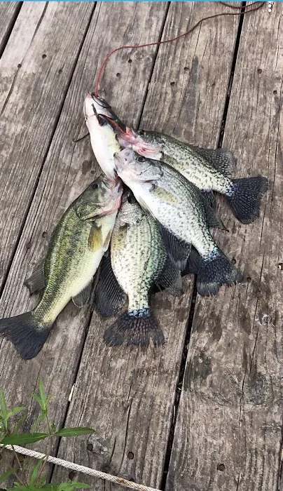 Pecan Grove RV Park Picture 10