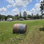 The RV Park of Dobbin