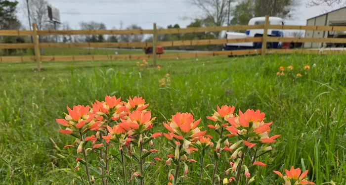 The RV Park of Dobbin Picture 5