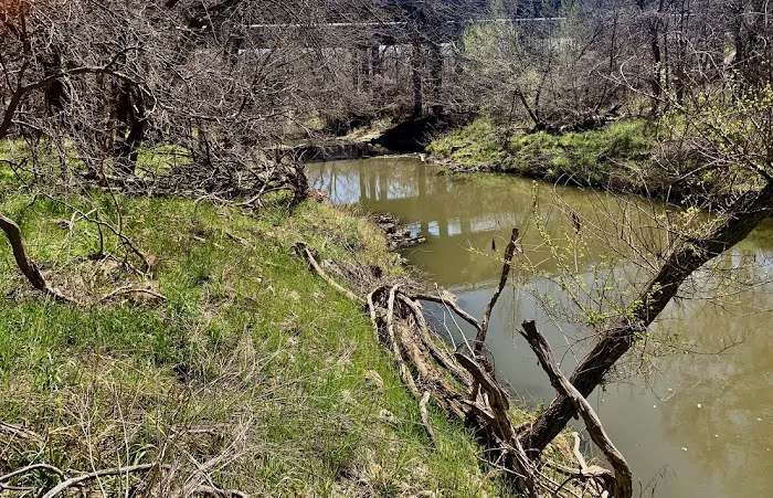 Wandering Oaks RV Resort Picture 4