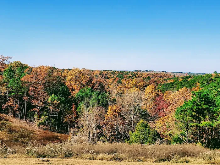 Wanderlust RV Park & Cabins Picture 6