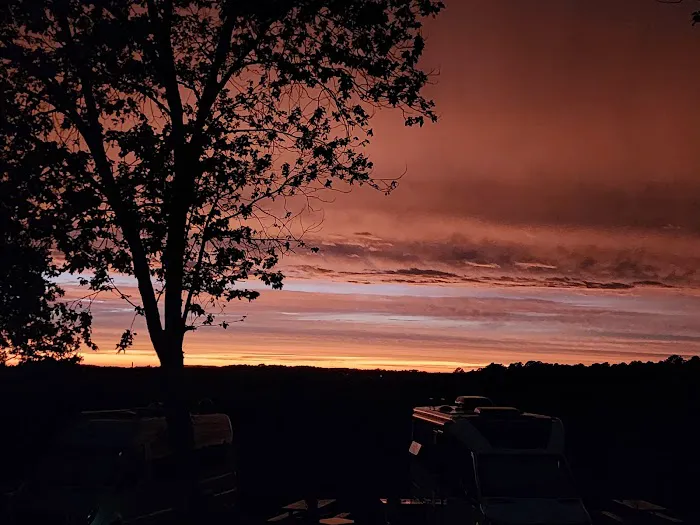 Wanderlust RV Park & Cabins Picture 5