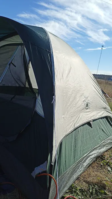 King of the Road Travel Park Picture 5