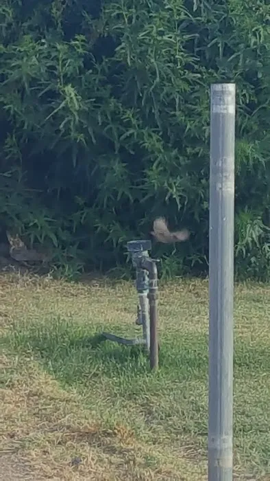 Westwood Mobile Home Park Picture 4