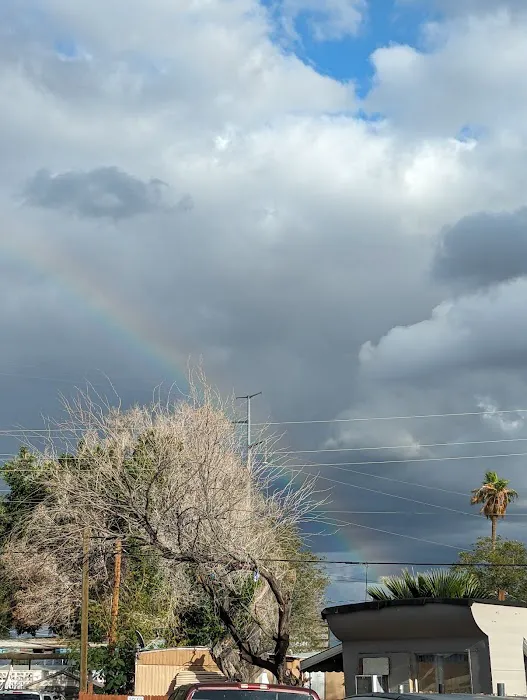 Michigan Trailer Park Picture 6