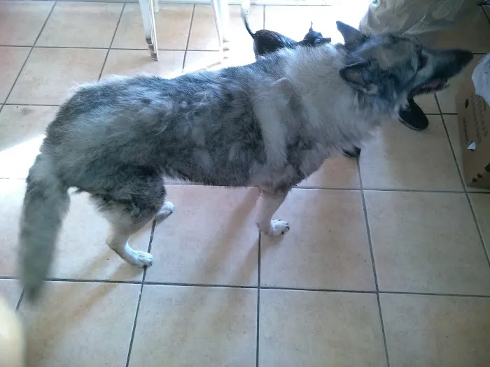 Michigan Trailer Park Picture 8