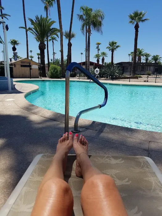 Oasis Park Co Picture 5