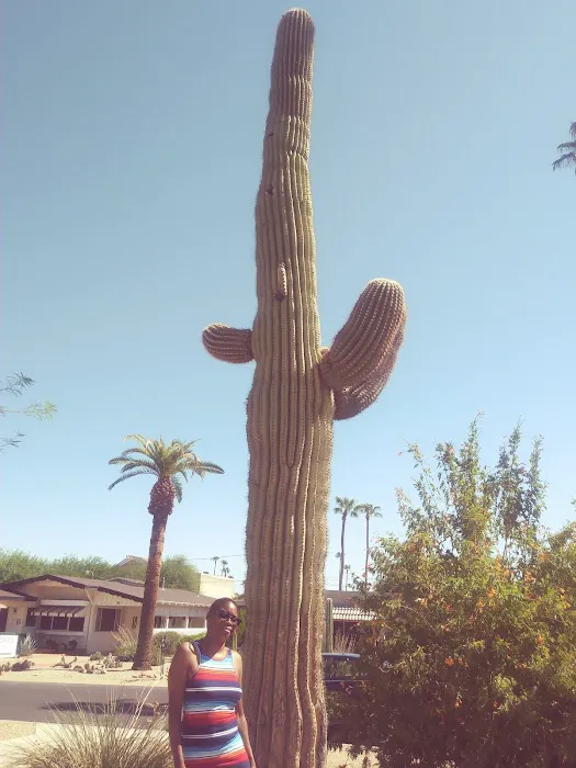 Oasis Park Co Picture 6