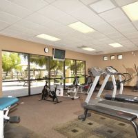 Contempo Tempe ico