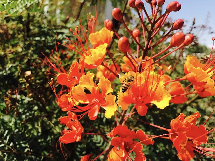 Grand Missouri Picture 8