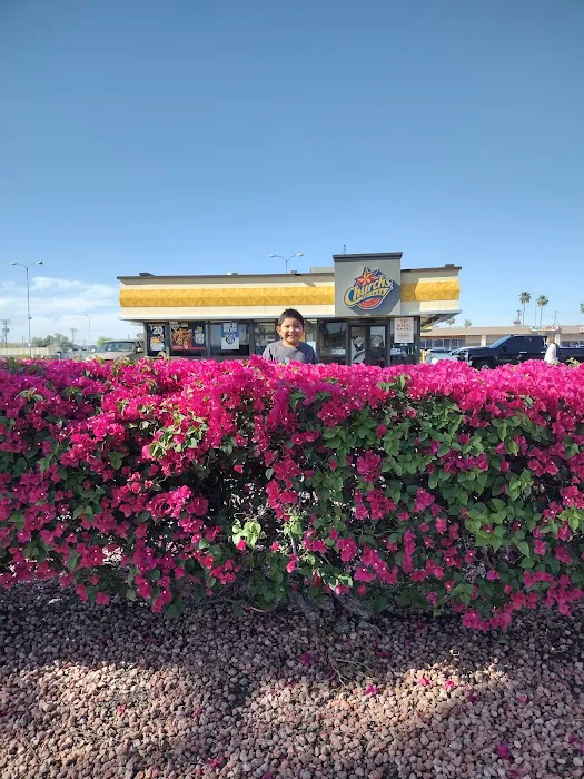 Out West Trailer Park Picture 1