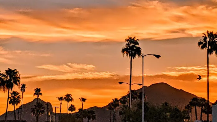 The Meadows Picture 2