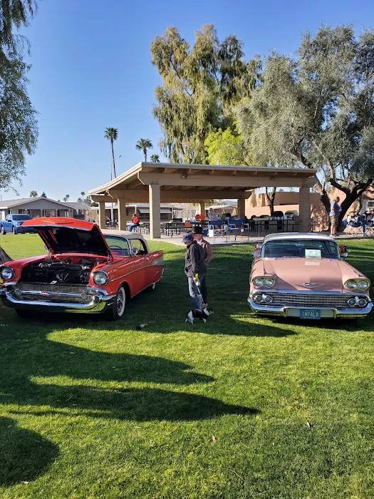 The Meadows Picture 5