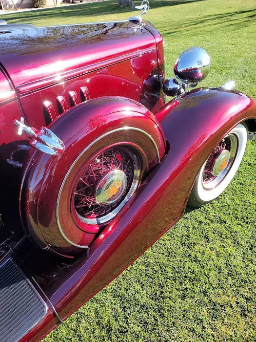 The Meadows Picture 6