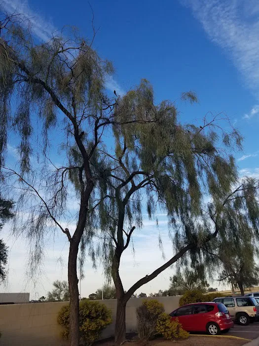 The Meadows Picture 7