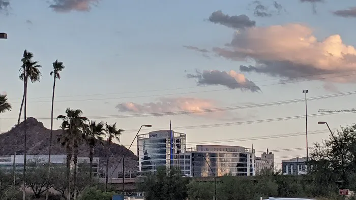 The Meadows Picture 8