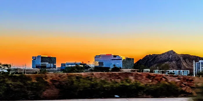 The Meadows Picture 9