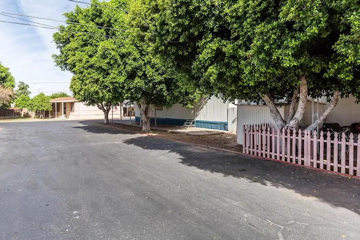 Flamingo Mobile Home & RV Park Picture 2