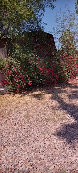 Capri MHP LLC Picture 4