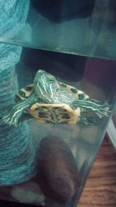 Capri MHP LLC Picture 9