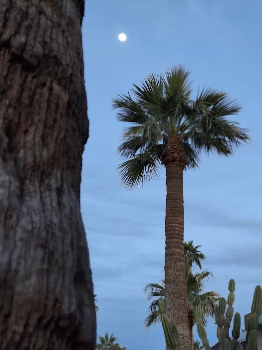 Riviera Mobile Home Park Picture 7