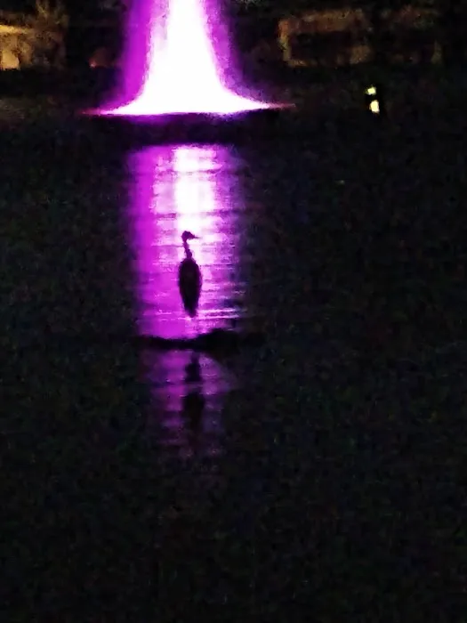 Pueblo Sereno Mobile Home Park Picture 1