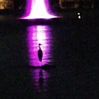 Pueblo Sereno Mobile Home Park ico