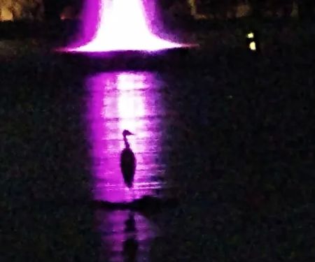 Pueblo Sereno Mobile Home Park