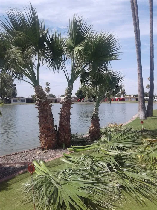 Pueblo Sereno Mobile Home Park Picture 6