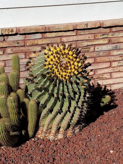 Shadow Mountain Village Mobile Home Community Picture 5