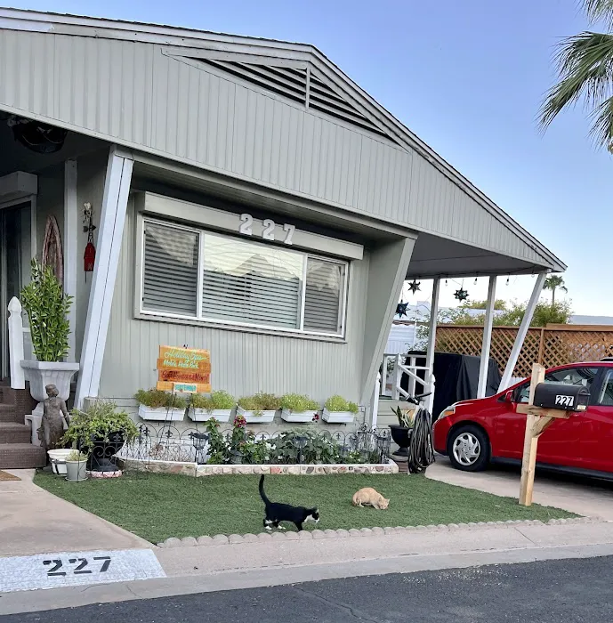 Holiday Spa Picture 3