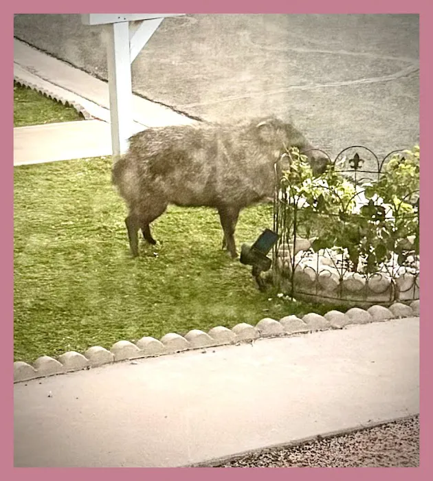 Holiday Spa Picture 7