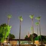 Arbor Manor Mobile Home Park