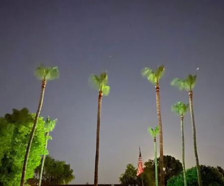 Arbor Manor Mobile Home Park