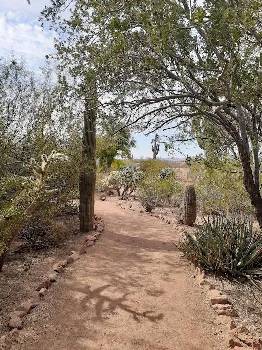 Rancho Tempe Picture 4