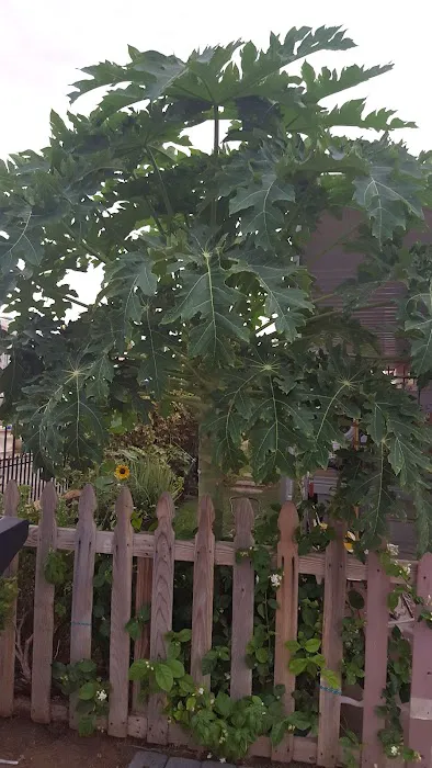 Rancho Tempe Picture 9