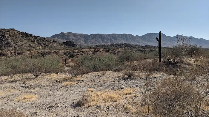 Sky Ridge Mobile Homes Picture 4