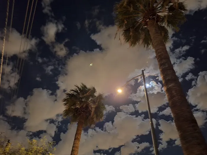 Paradise Grove Trailer Park Picture 1