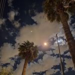 Paradise Grove Trailer Park