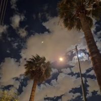 Paradise Grove Trailer Park ico