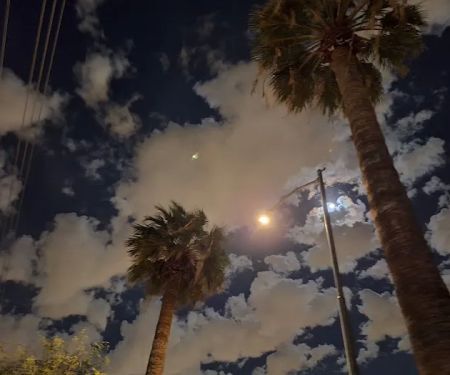 Paradise Grove Trailer Park