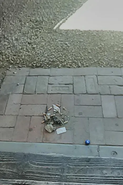 Paradise Grove Trailer Park Picture 2